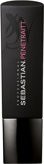 Penetraitt Shampoo - Sebastian Penetraitt Shampoo 250ml (380x616), Png Download