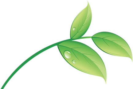 Connect With Us - Bio Leaf (442x295), Png Download
