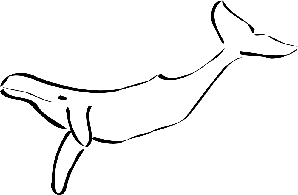 Whale Clipart Png (600x392), Png Download