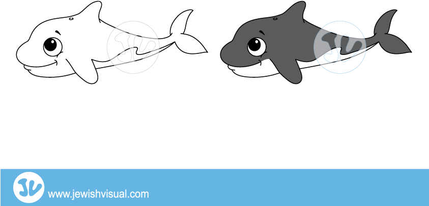 Killer Whale Clipart - לויתן (842x595), Png Download