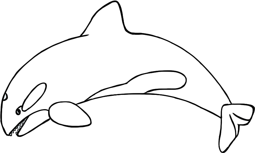 Blue Whale Clipart - Clip Art (894x575), Png Download