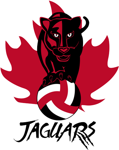Cochrane Jaguars Youth Volleyball Club - Volleyball (400x492), Png Download