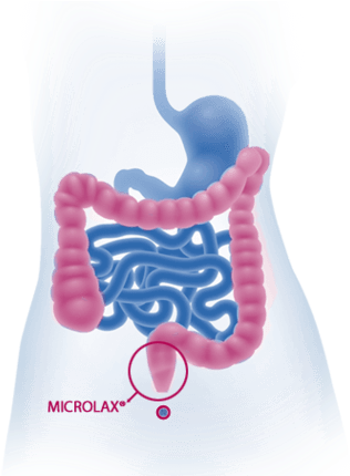 Excretion In The Rectum - Png Digestive System Png (346x429), Png Download