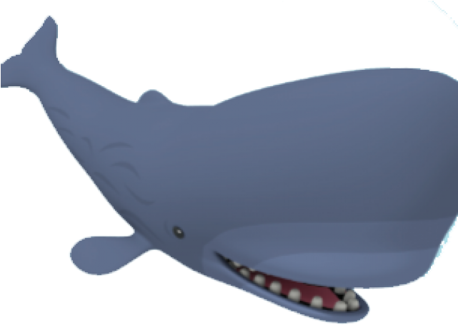 Whales (640x480), Png Download