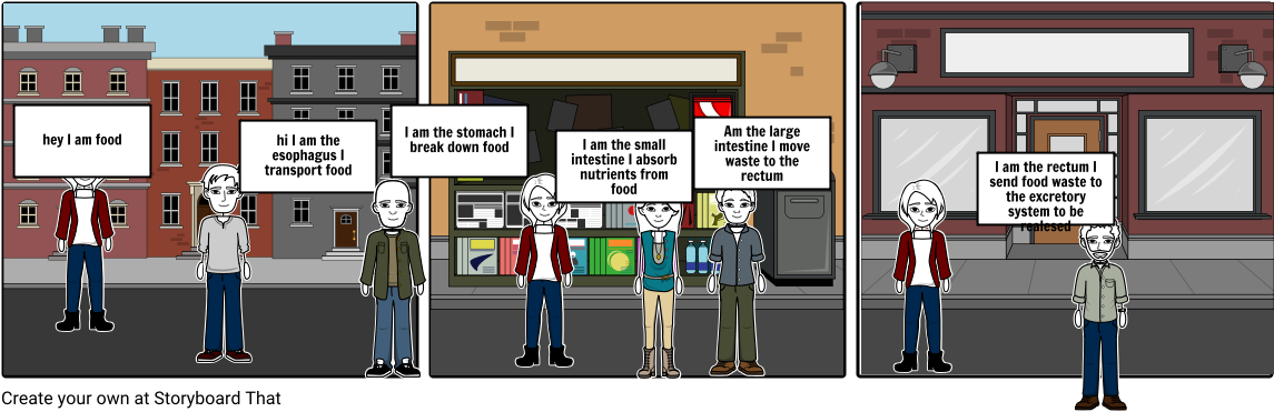 Digestive System - Cartoon (1164x385), Png Download