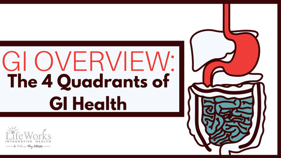 How Your Digestive System Works - Gastrointestinal Tract (560x315), Png Download