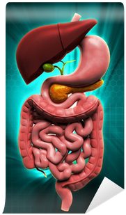 Nutrition And Bariatric Surgery [book] (400x400), Png Download