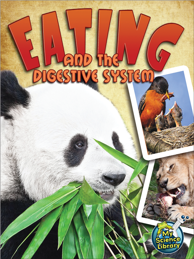 Tcr102348 Eating And The Digestive System Image - Eating And The Digestive System (900x900), Png Download