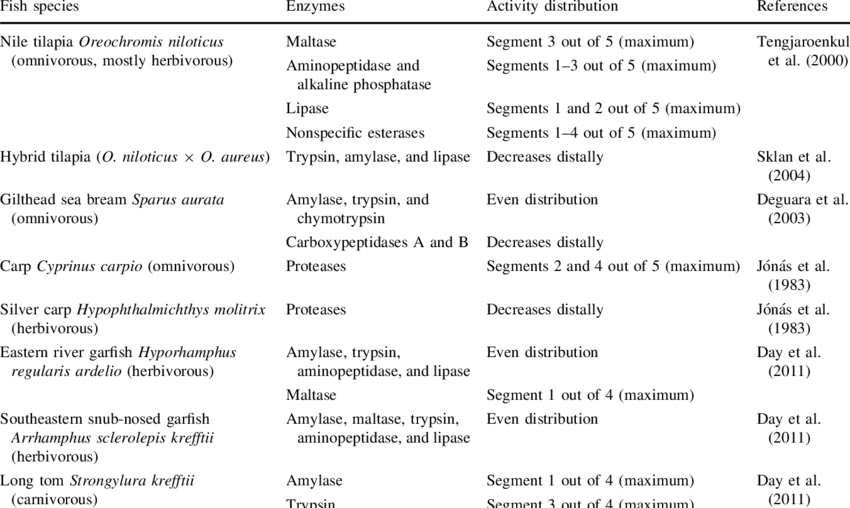 Examples Of Enzyme Activity Distribution Along The - Enzyme (850x508), Png Download