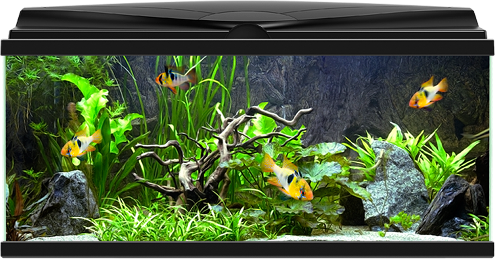 Aqua - Ciano Aqua 80 Led (1000x700), Png Download