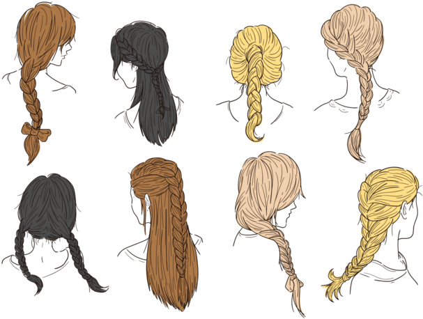 Hair Plaits And Braids Vectors - Braided Hair Braids Vector (700x490), Png Download