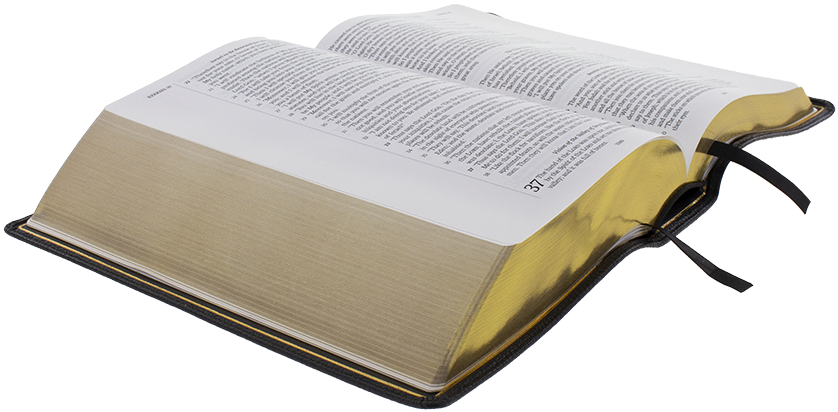 Pulpit Bible Open Angle Sm - Dairy (872x445), Png Download