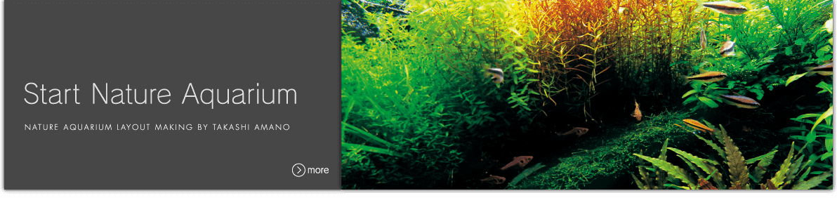 Nature Aquarium Goods - Aquarium (1192x282), Png Download
