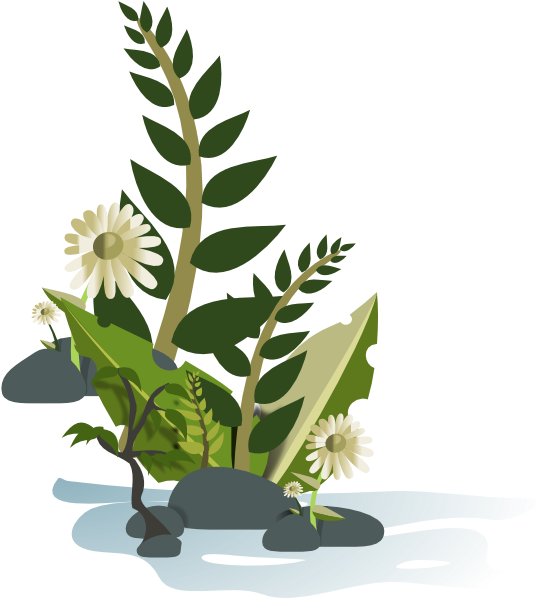 How To Set Use Green Plant Svg Vector (546x597), Png Download