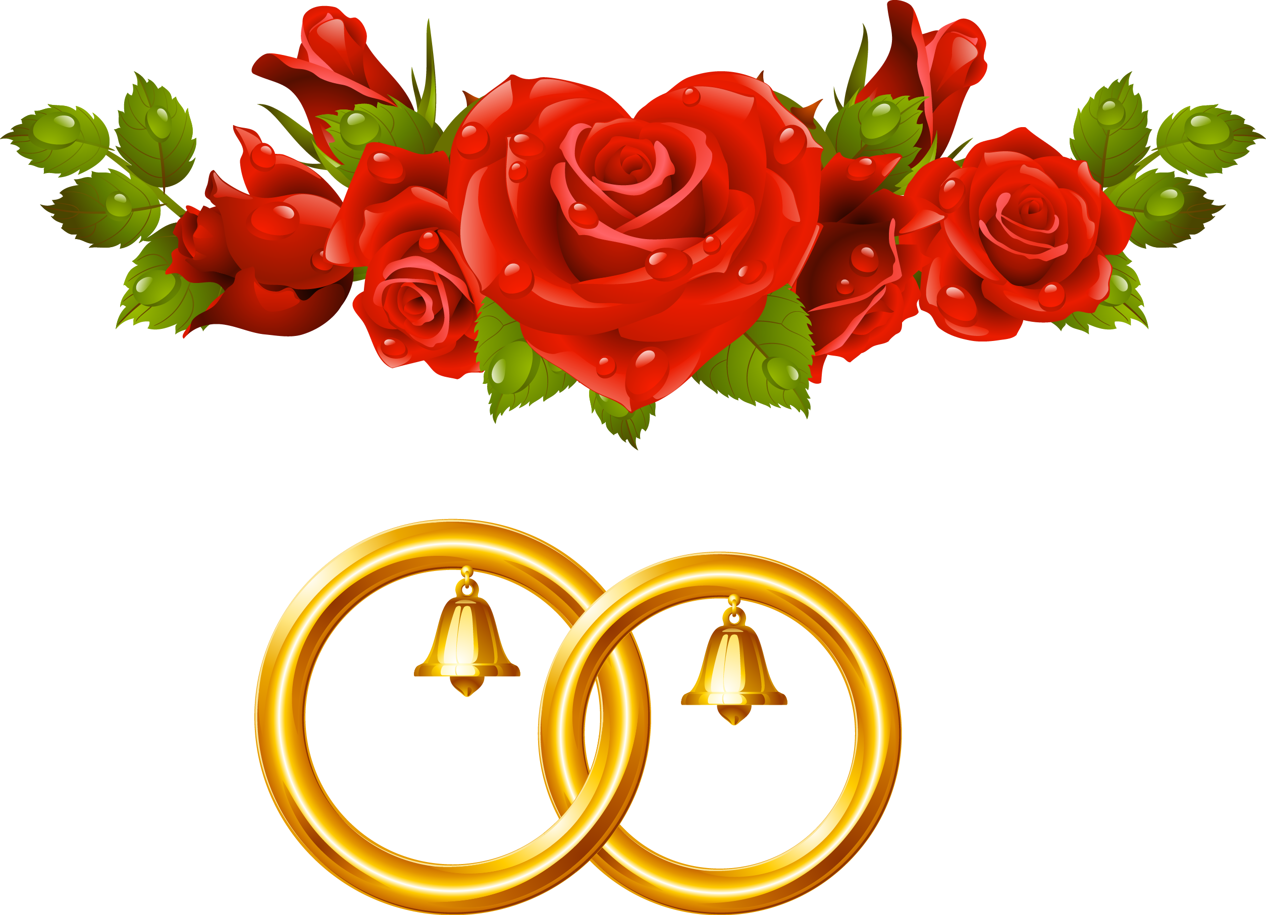 Marriage, Album, Grooms, Wedding, Casamento, Mariage, - Red Roses Transparent (2508x1814), Png Download