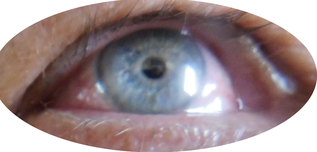 And Below On An Average Day - Close-up (1030x494), Png Download