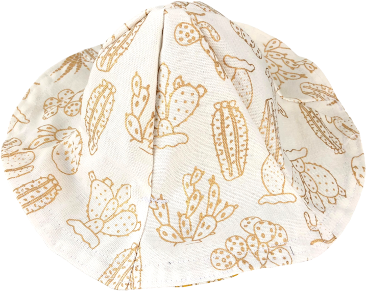 Cacti Sunhat (1000x1000), Png Download