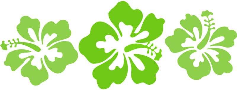 Hibiscus, Green, Hawaii, Desi - Black And White Hibiscus Flower Clip Art (800x400), Png Download