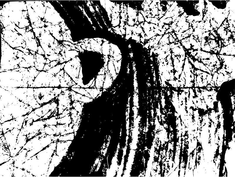 Medium Image - Monochrome (800x602), Png Download