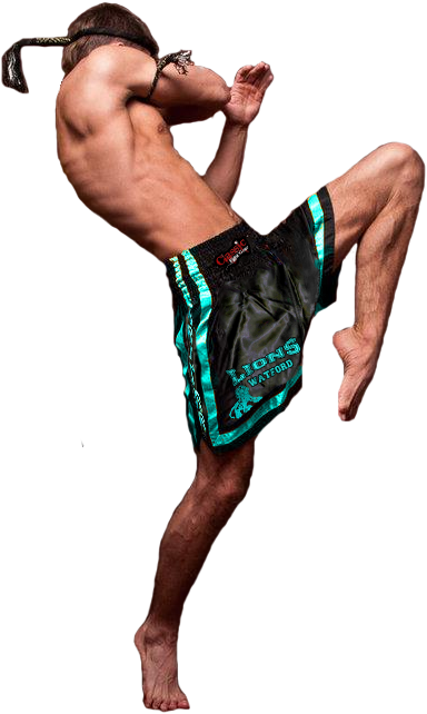Muay Thai Png - Thailand Muay Thai Png (500x707), Png Download