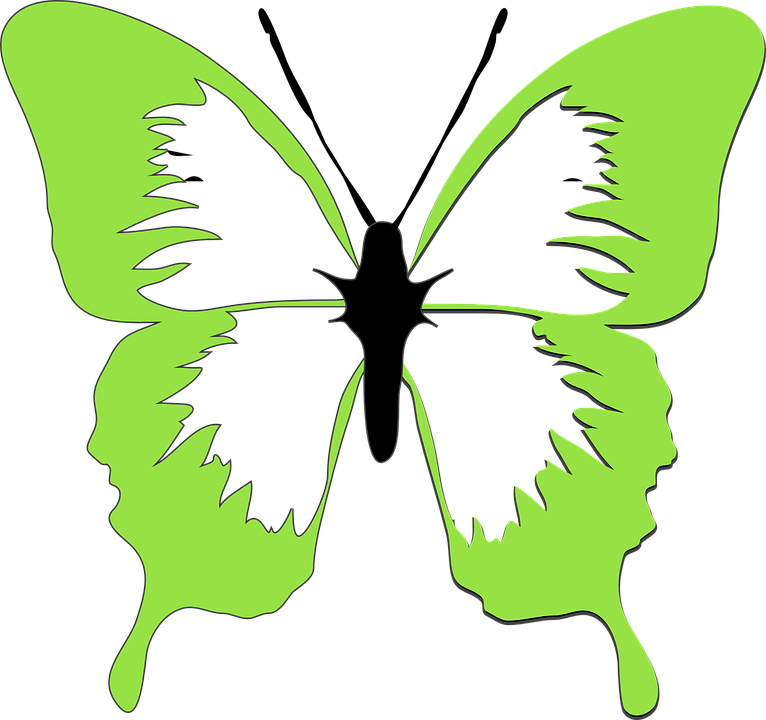 Rainbow Butterfly Clipart Light - Lime Green Butterfly Clip Art (766x720), Png Download