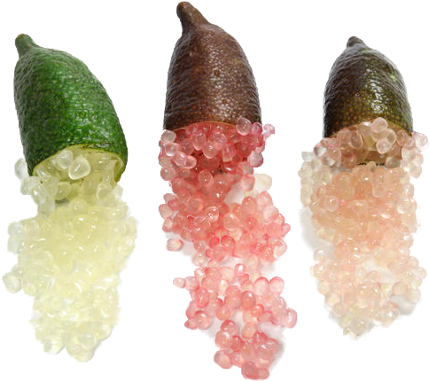 Caviar Lime Png - Finger Limes (634x489), Png Download