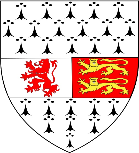 Advertisement - Carlow Coat Of Arms (547x600), Png Download