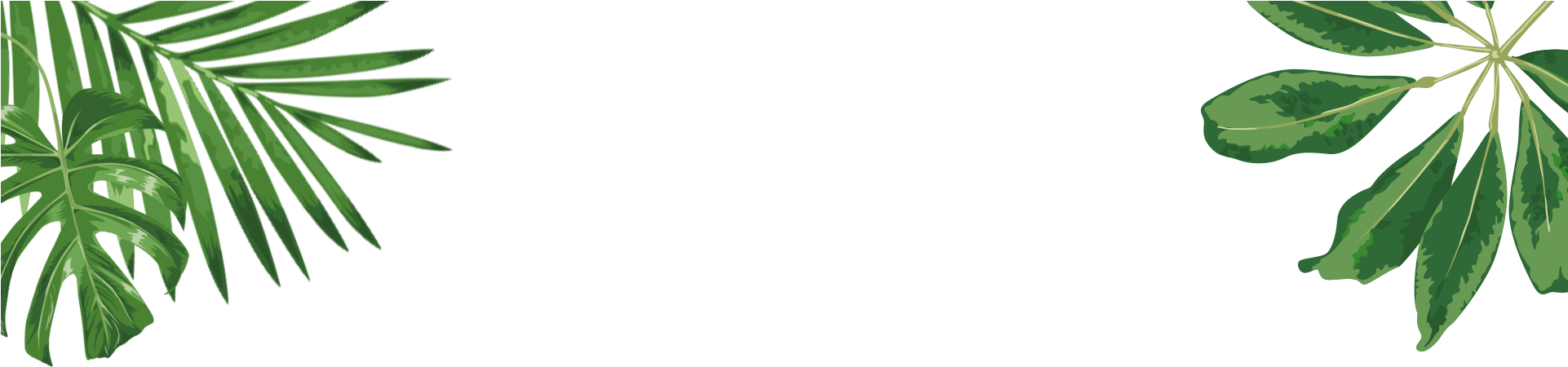 Urban Grunge - Parrot (1921x573), Png Download