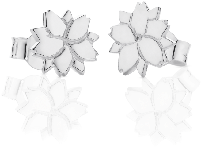 Cherry Blossom Stud Earrings - Silver (1036x1036), Png Download