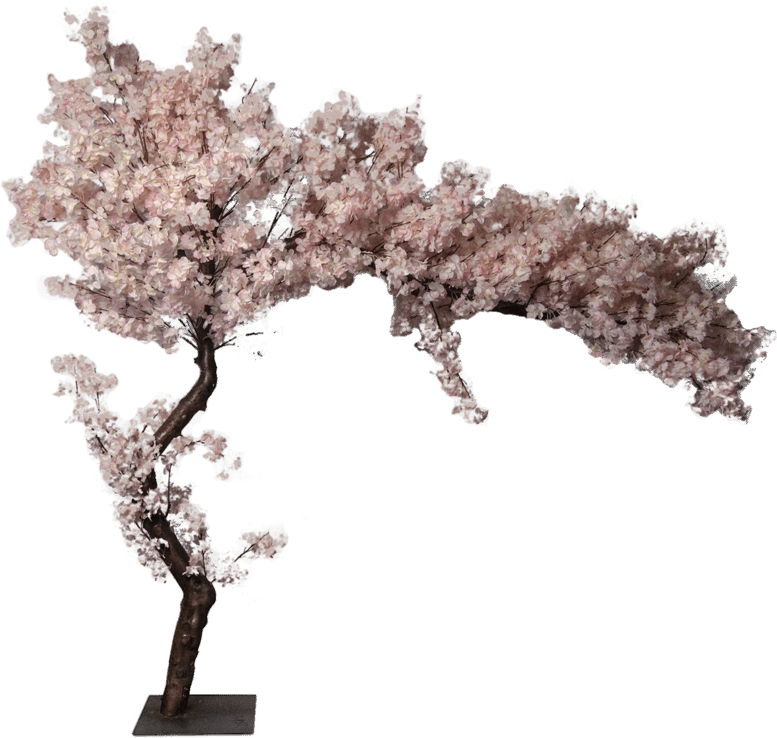 Tree 00