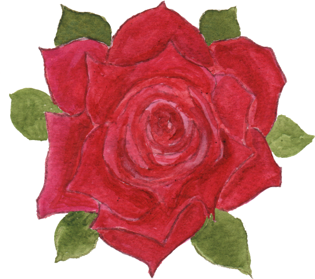 On The Other Hand, I've Had Fun Concocting Patterns - Garden Roses (1038x954), Png Download