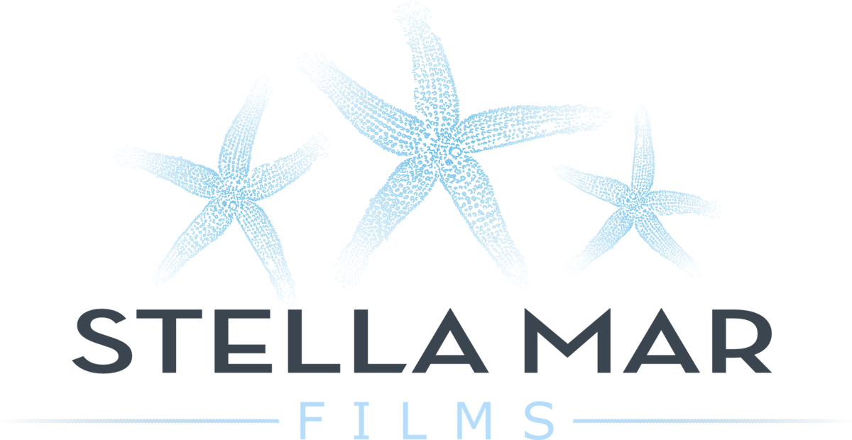 Stella Mar Films (1200x620), Png Download