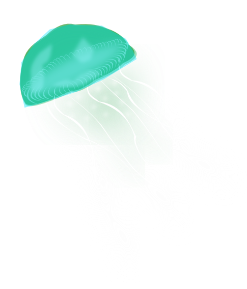 Jellyfish Png Picture - Jellyfish Png Gif (522x593), Png Download
