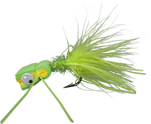 Grasshopper (555x741), Png Download