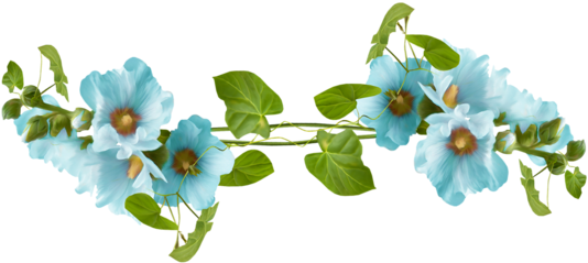 Blue Flower Divider Png (600x582), Png Download