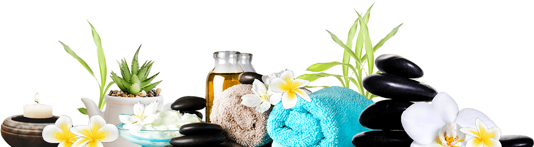 Divider Free Img - Camomile (1220x298), Png Download