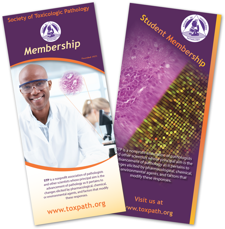 Membership Application - Flyer (900x912), Png Download