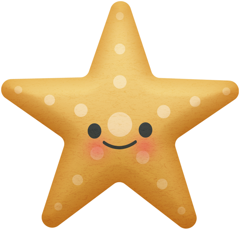 ○•‿✿⁀ocean Safari‿✿⁀•○ - Starfish (800x767), Png Download