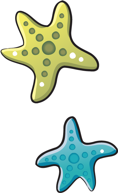 Sea Star Download Transparent Png Image - ปลา เนย สี ฟ้า (463x729), Png Download