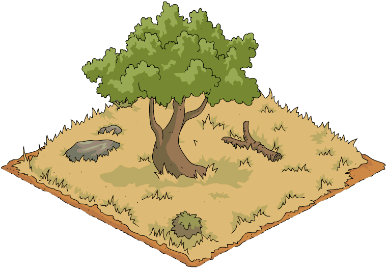 Shady Tree - Oak (760x526), Png Download