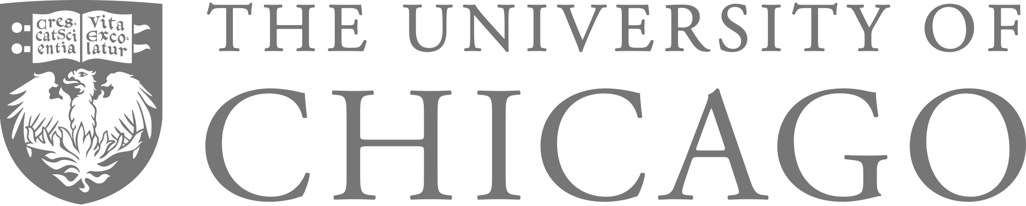 Uchicago Promise - University Of Chicago (2000x402), Png Download