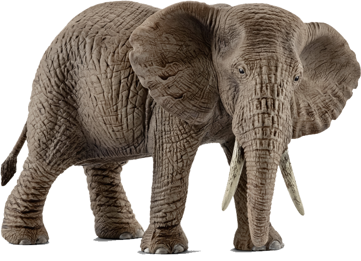 Schleich African Elephant Female (1000x1000), Png Download