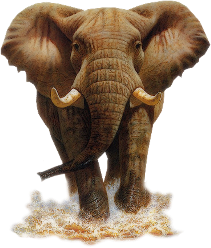 Tubed By Monique42 3452 ❤ Liked On Polyvore Featuring - Elephant (760x980), Png Download