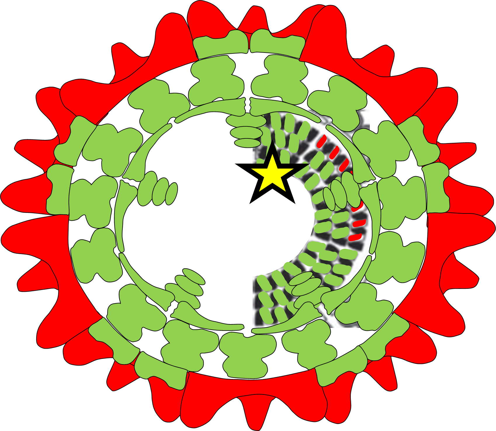 New Type Of Vaccine Developed Against Bluetongue - Hak Iş Sendikası Logo (1698x1476), Png Download