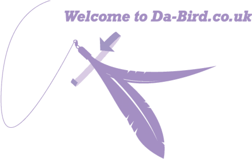 Free Png Download Da Bird Cat Toy Uk Png Images Background - Da Bird Cat Toy Uk (850x537), Png Download