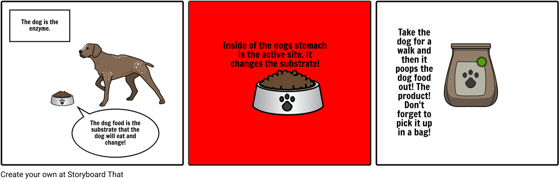 Dog Enzyme (1164x385), Png Download