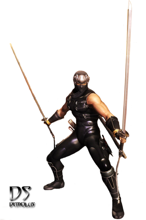 Ninja Gaiden Stand - Armour (488x800), Png Download