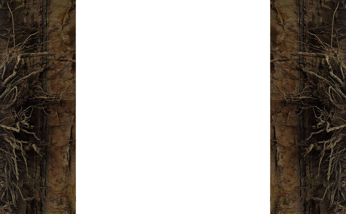 Computerized Foaming System - Wood (1366x845), Png Download