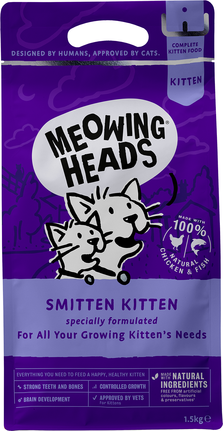 Meowing Heads - Meowing Heads Kitten (2000x1982), Png Download