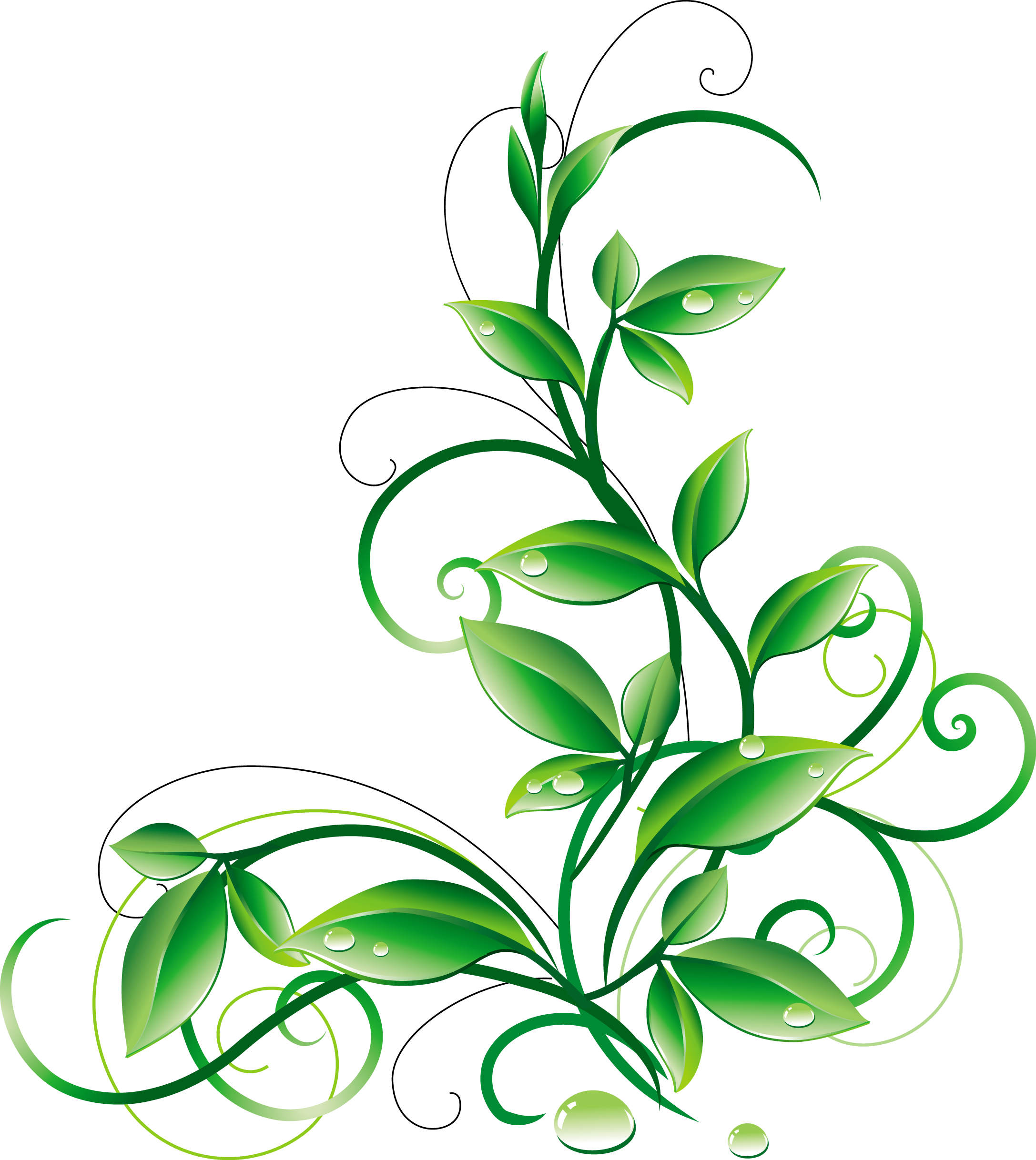 A Orig Png Pinterest Aorigpng - Green Color Flower Png (2174x2435), Png Download